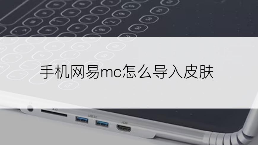 手机网易mc怎么导入皮肤