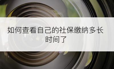 如何查看自己的社保缴纳多长时间了