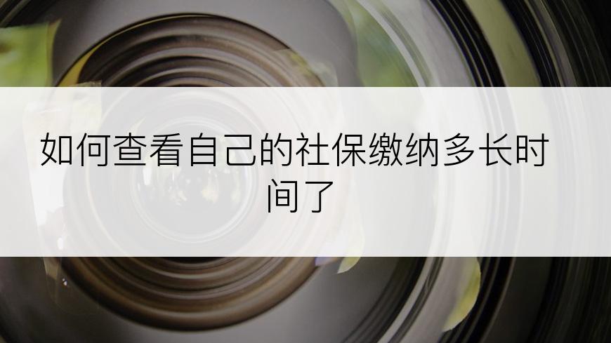 如何查看自己的社保缴纳多长时间了