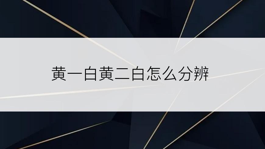 黄一白黄二白怎么分辨