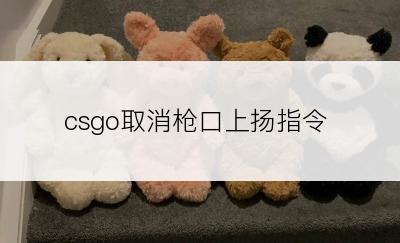 csgo取消枪口上扬指令