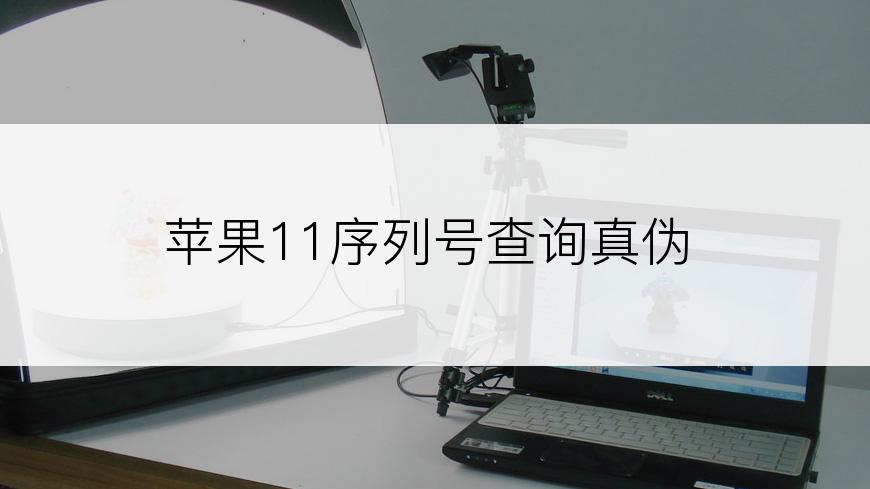 苹果11序列号查询真伪