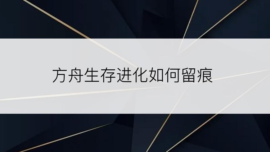 方舟生存进化如何留痕