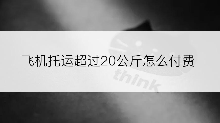 飞机托运超过20公斤怎么付费