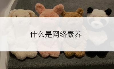 什么是网络素养