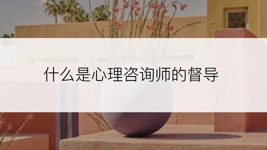 什么是心理咨询师的督导