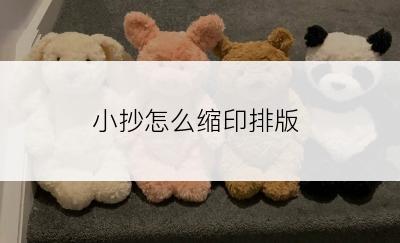 小抄怎么缩印排版