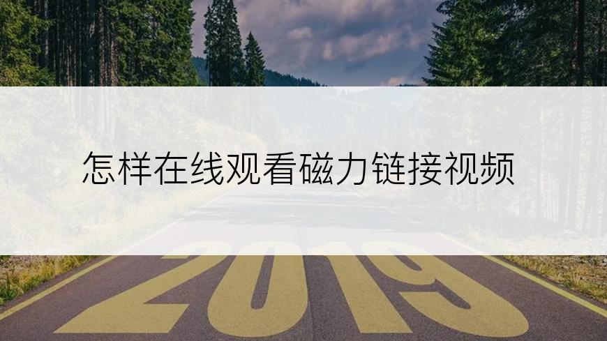 怎样在线观看磁力链接视频