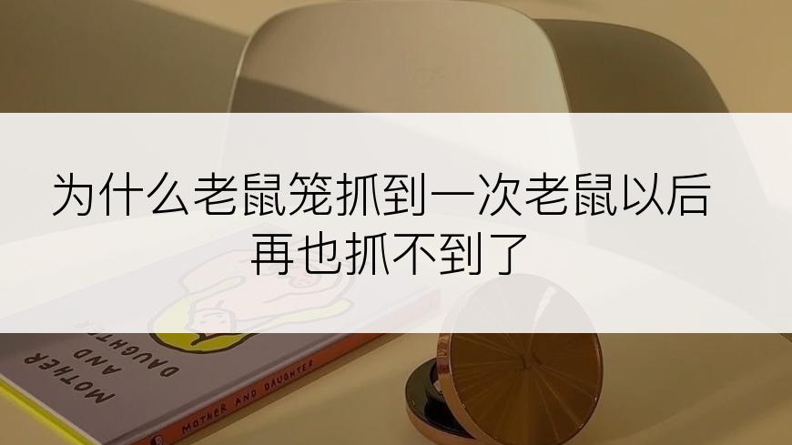 为什么老鼠笼抓到一次老鼠以后再也抓不到了