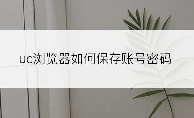 uc浏览器如何保存账号密码