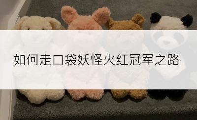 如何走口袋妖怪火红冠军之路