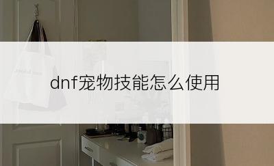 dnf宠物技能怎么使用