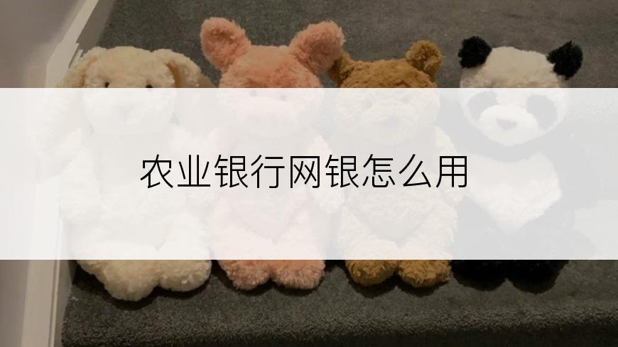 农业银行网银怎么用