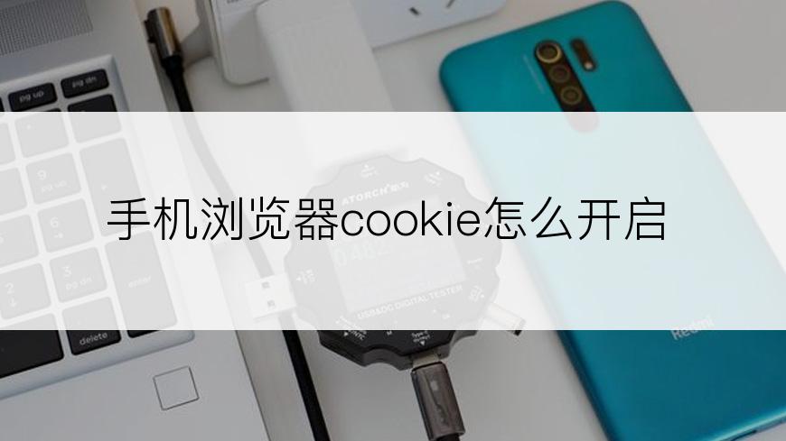 手机浏览器cookie怎么开启