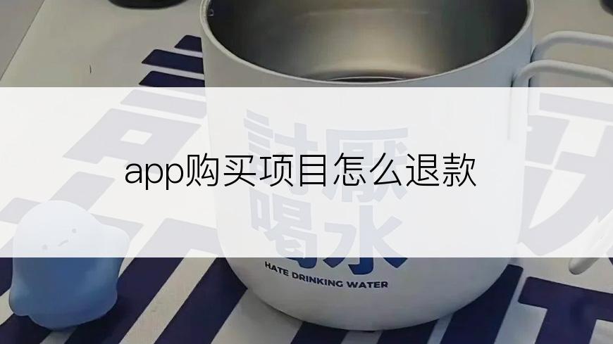 app购买项目怎么退款