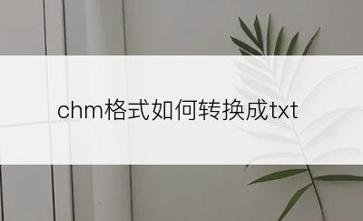 chm格式如何转换成txt