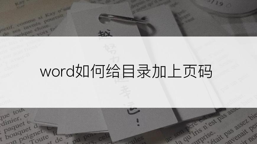 word如何给目录加上页码