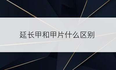 延长甲和甲片什么区别