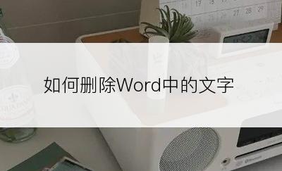 如何删除Word中的文字