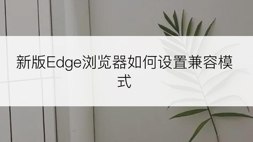 新版Edge浏览器如何设置兼容模式