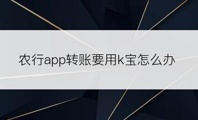 农行app转账要用k宝怎么办