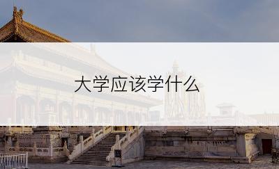 大学应该学什么