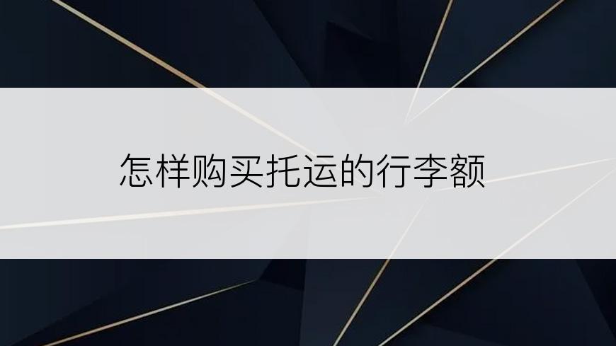 怎样购买托运的行李额