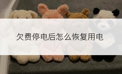 欠费停电后怎么恢复用电