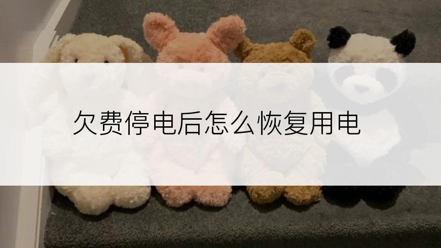 欠费停电后怎么恢复用电