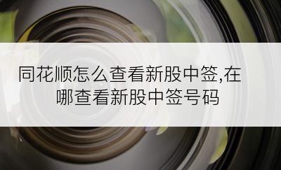 同花顺怎么查看新股中签,在哪查看新股中签号码