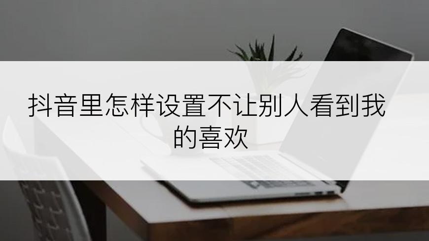 抖音里怎样设置不让别人看到我的喜欢