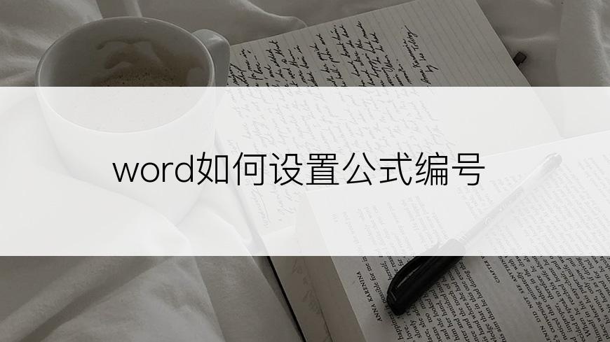 word如何设置公式编号