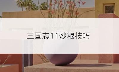 三国志11炒粮技巧