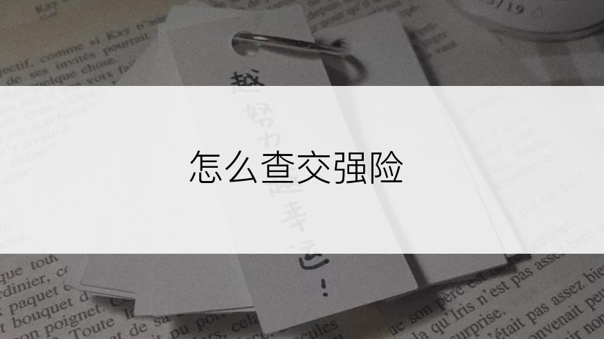 怎么查交强险