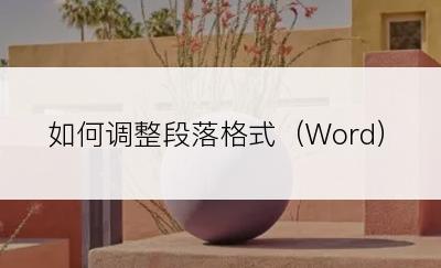 如何调整段落格式（Word）