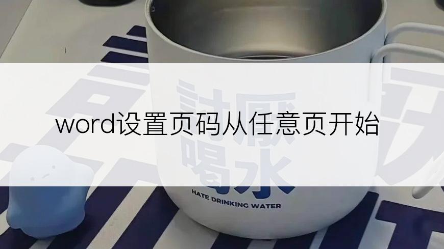 word设置页码从任意页开始