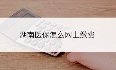 湖南医保怎么网上缴费