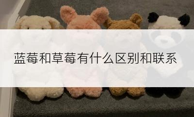 蓝莓和草莓有什么区别和联系