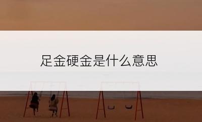 足金硬金是什么意思