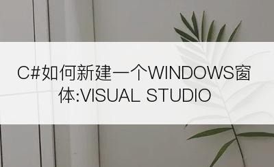 C#如何新建一个WINDOWS窗体:VISUAL STUDIO