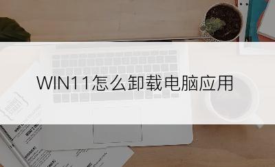 WIN11怎么卸载电脑应用