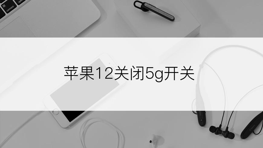 苹果12关闭5g开关