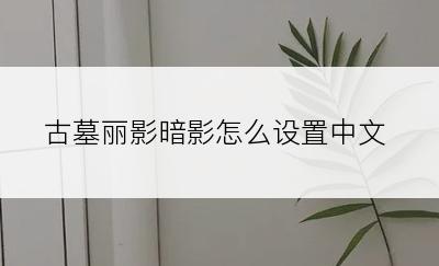 古墓丽影暗影怎么设置中文