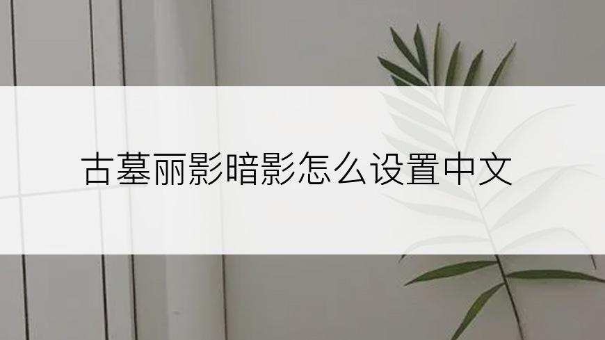 古墓丽影暗影怎么设置中文