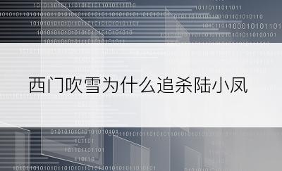 西门吹雪为什么追杀陆小凤