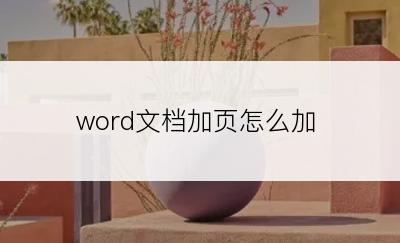 word文档加页怎么加