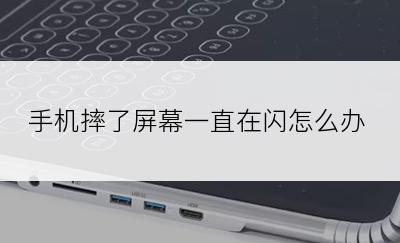 手机摔了屏幕一直在闪怎么办