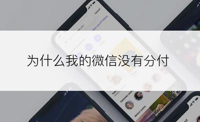 为什么我的微信没有分付