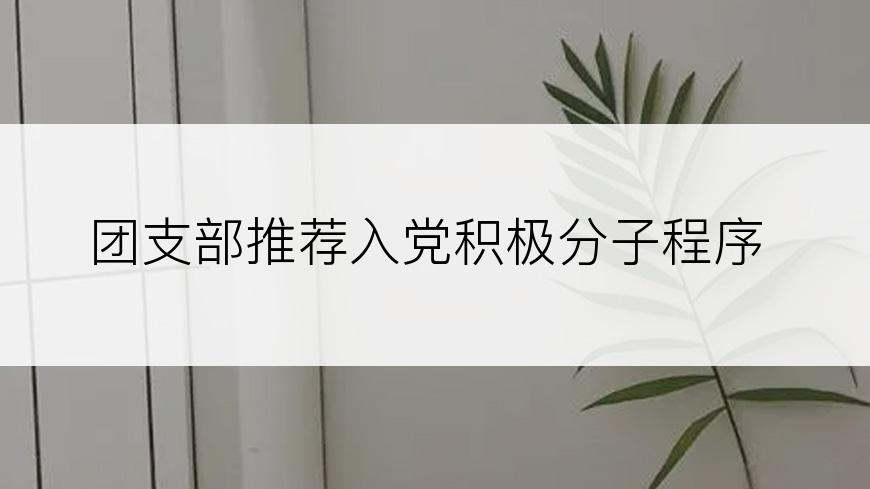 团支部推荐入党积极分子程序