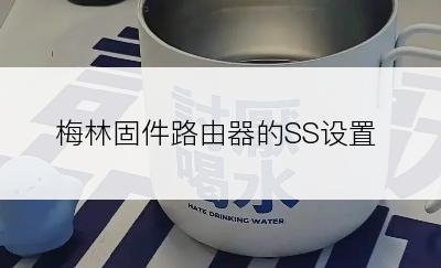 梅林固件路由器的SS设置